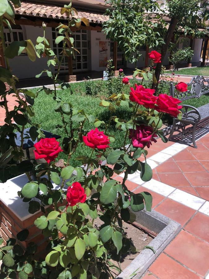 Apartamento Tres Coronas Fuengirola