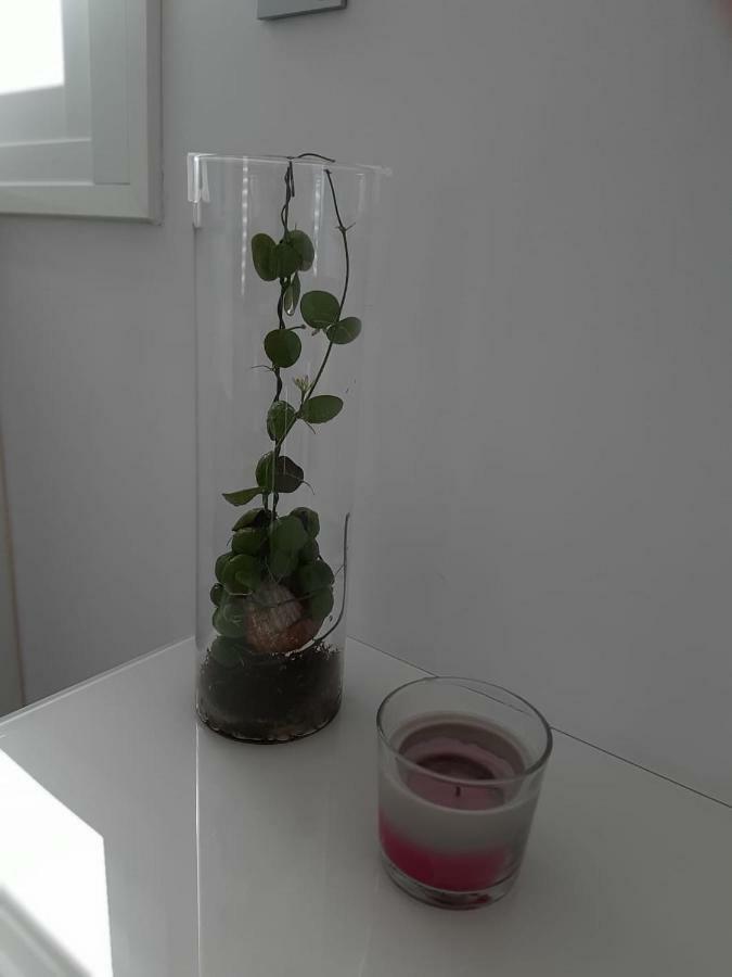 Loft Of *