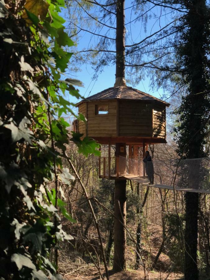 Cabanes Als Arbres Camping