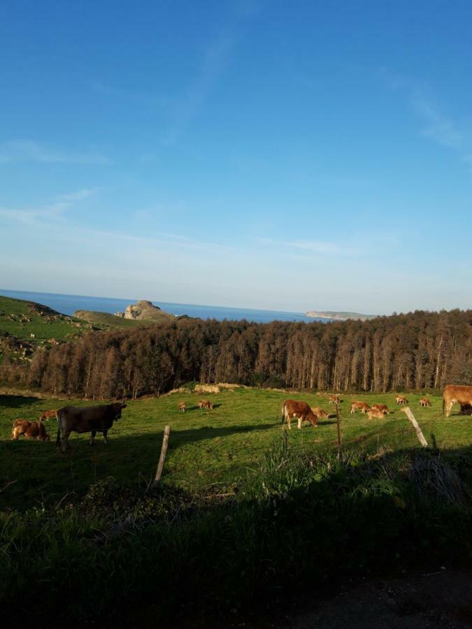 La Torruca Holiday home Orena