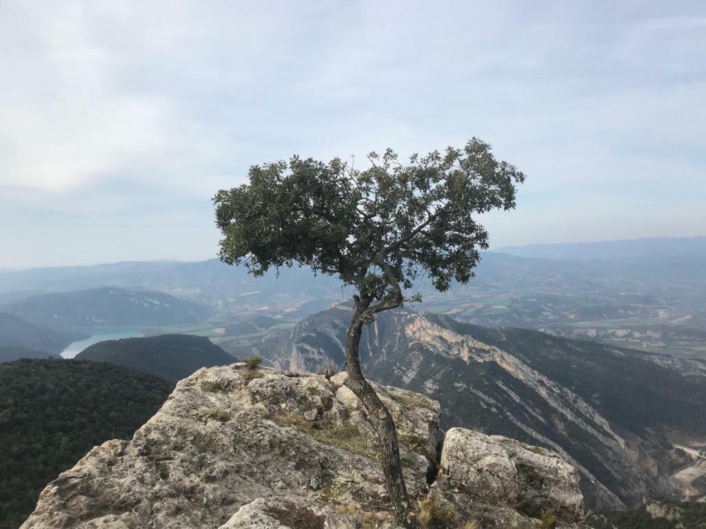 Apartamento Cinca Pirineo En Aínsa
