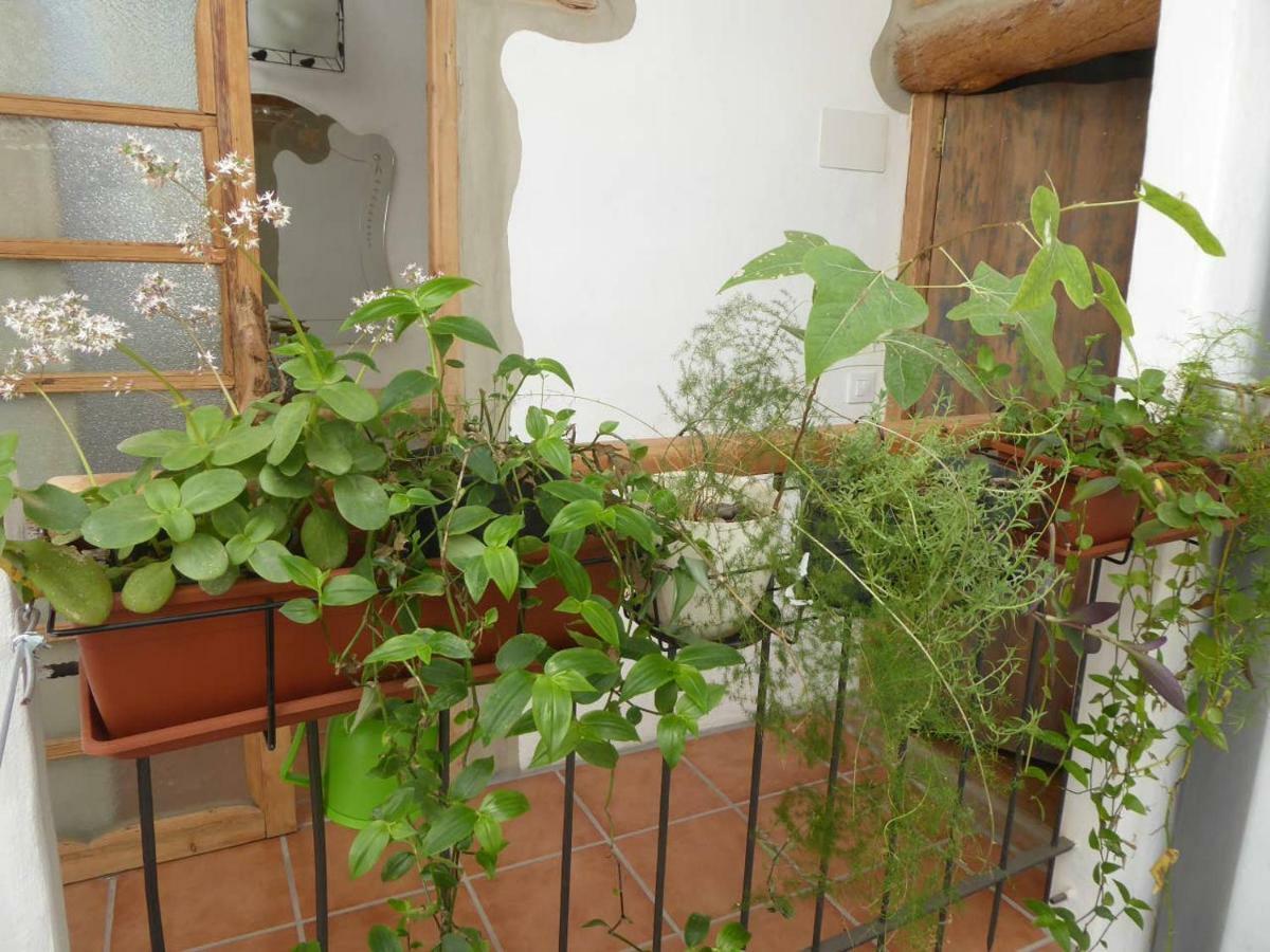 Casa De Caliz