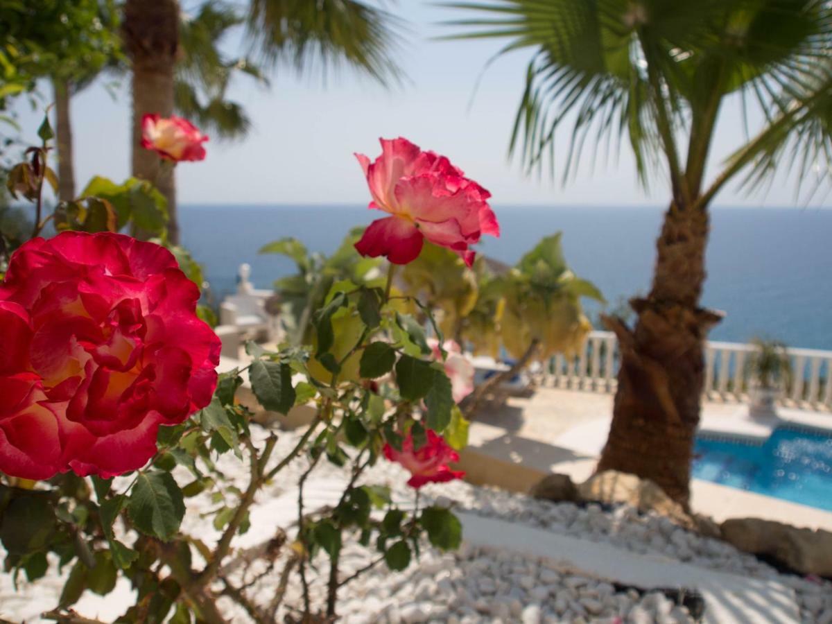 Villa Frontline Villa, Five Star Deluxe El Campello