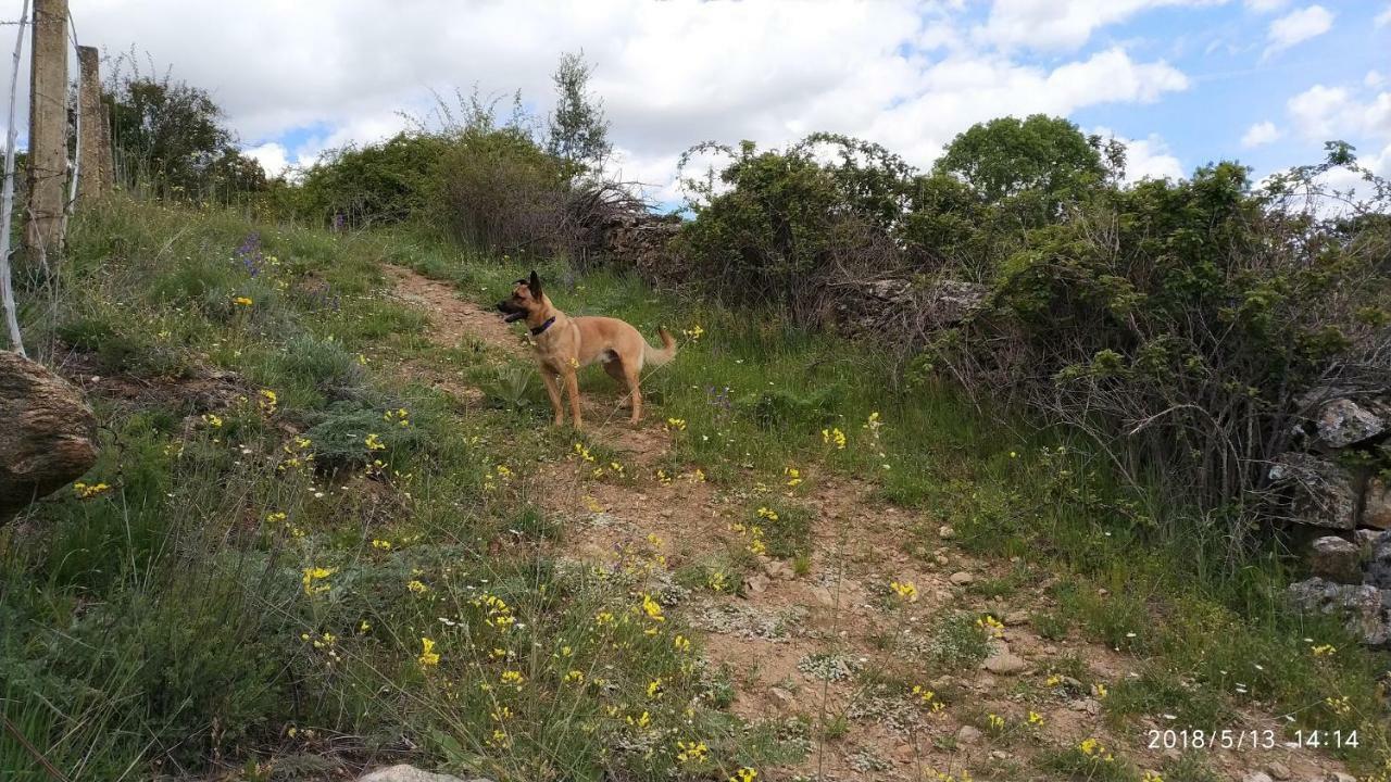 Estrella Rural En La Sierra De Madrid * Buitrago del Lozoya