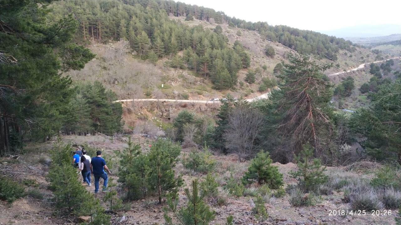 Estrella Rural En La Sierra De Madrid