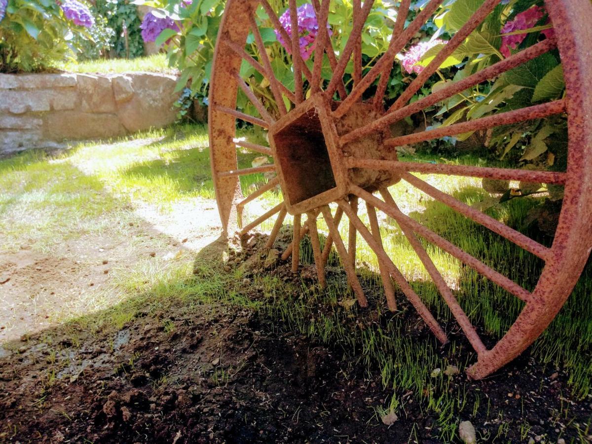 Homestay En Casa De Campo Rural