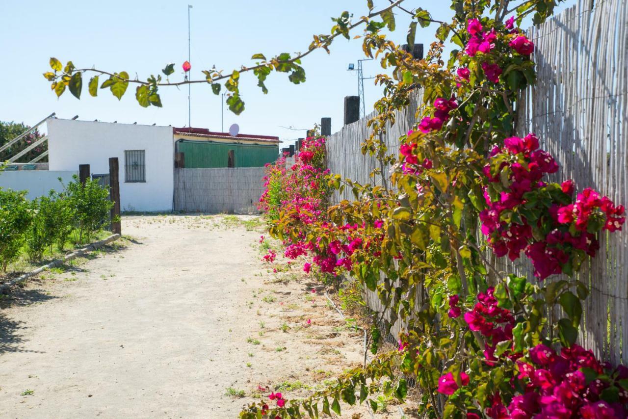Casa rural Casara Seis O Casara Siete - Tu Casa A 100m De La Playa De Zahora