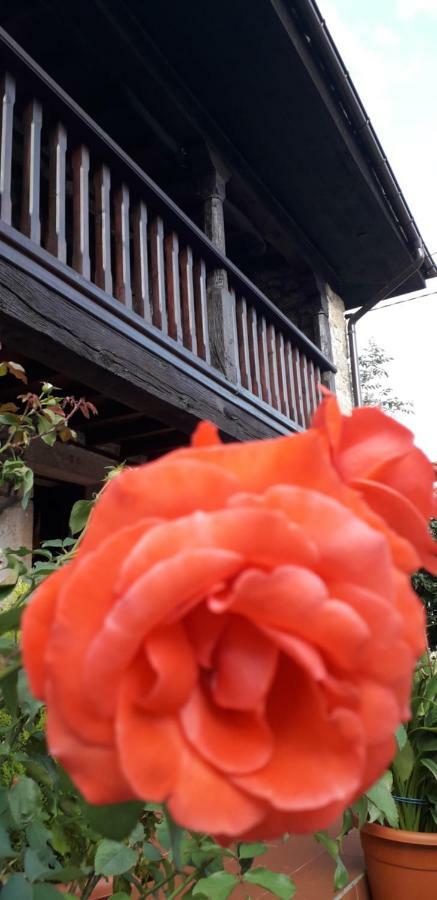 Flor De Pomar Сasa de vacaciones