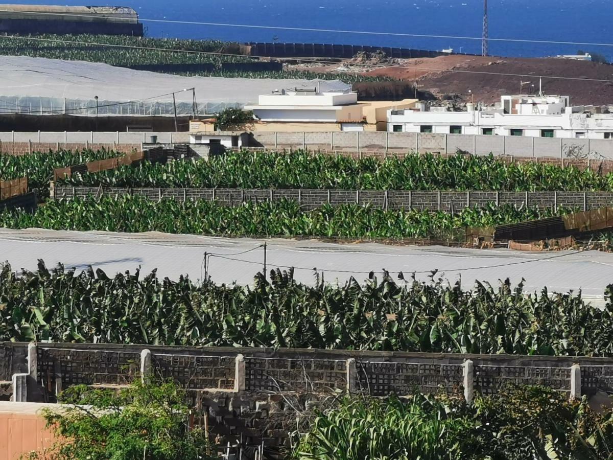 Teresa Gran Canaria