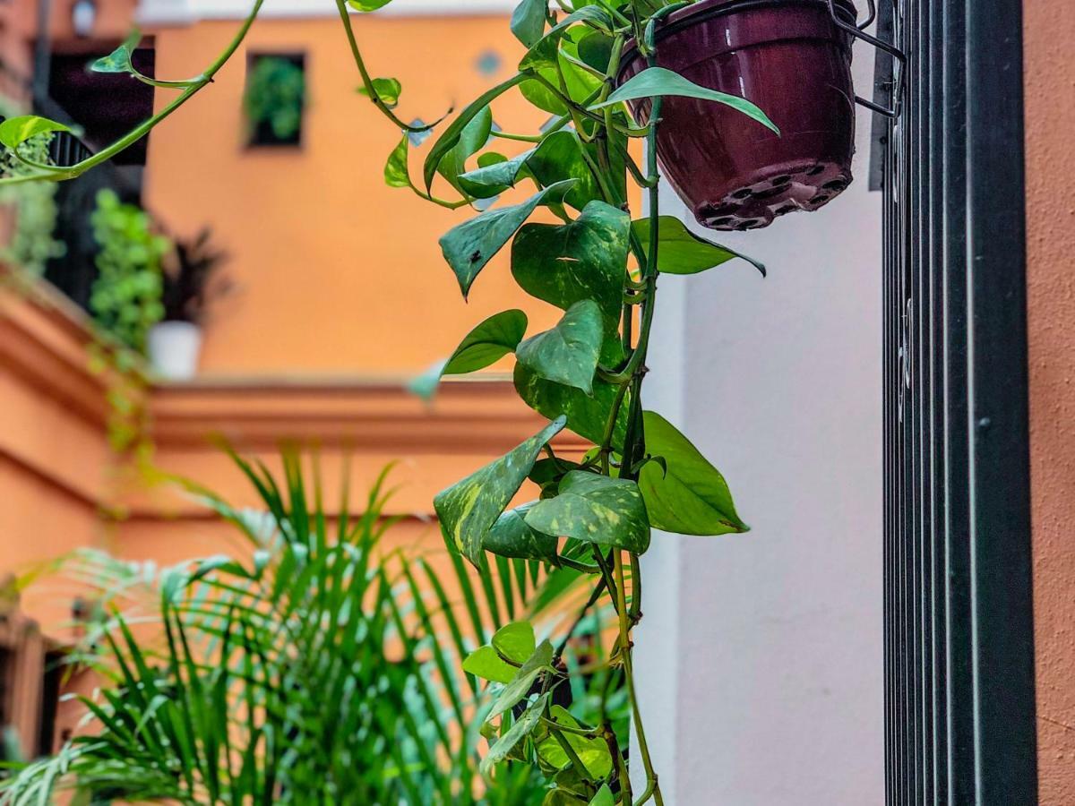 Country house Rural Flamingo El Rocio