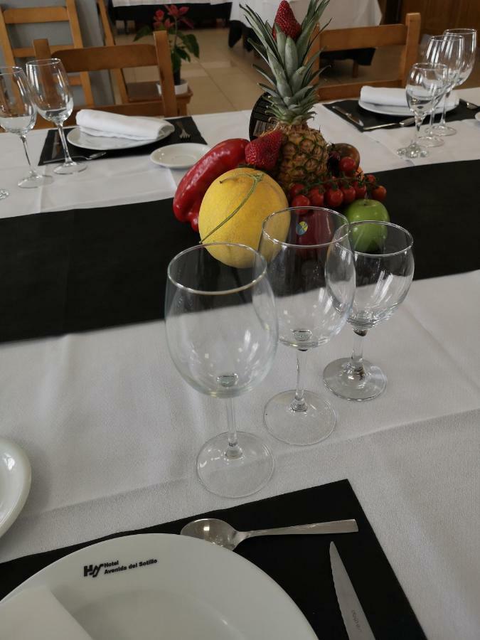 Hotel Avenida Del Sotillo 2*