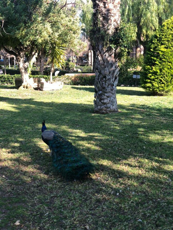 La Zenia Beach Bungalow * Orihuela