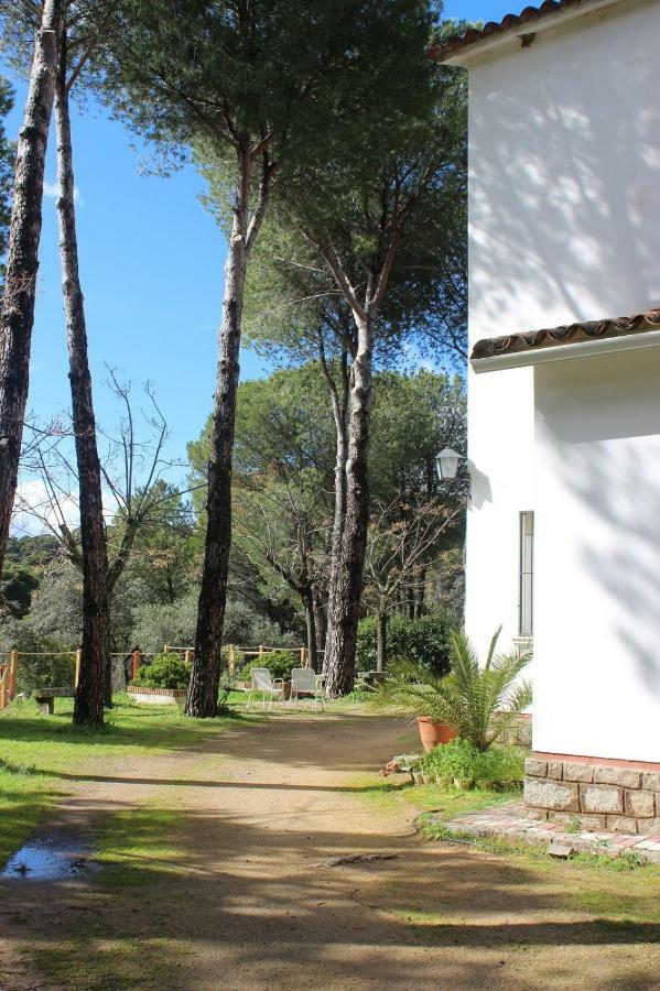 Holiday home Vina Concepcion *