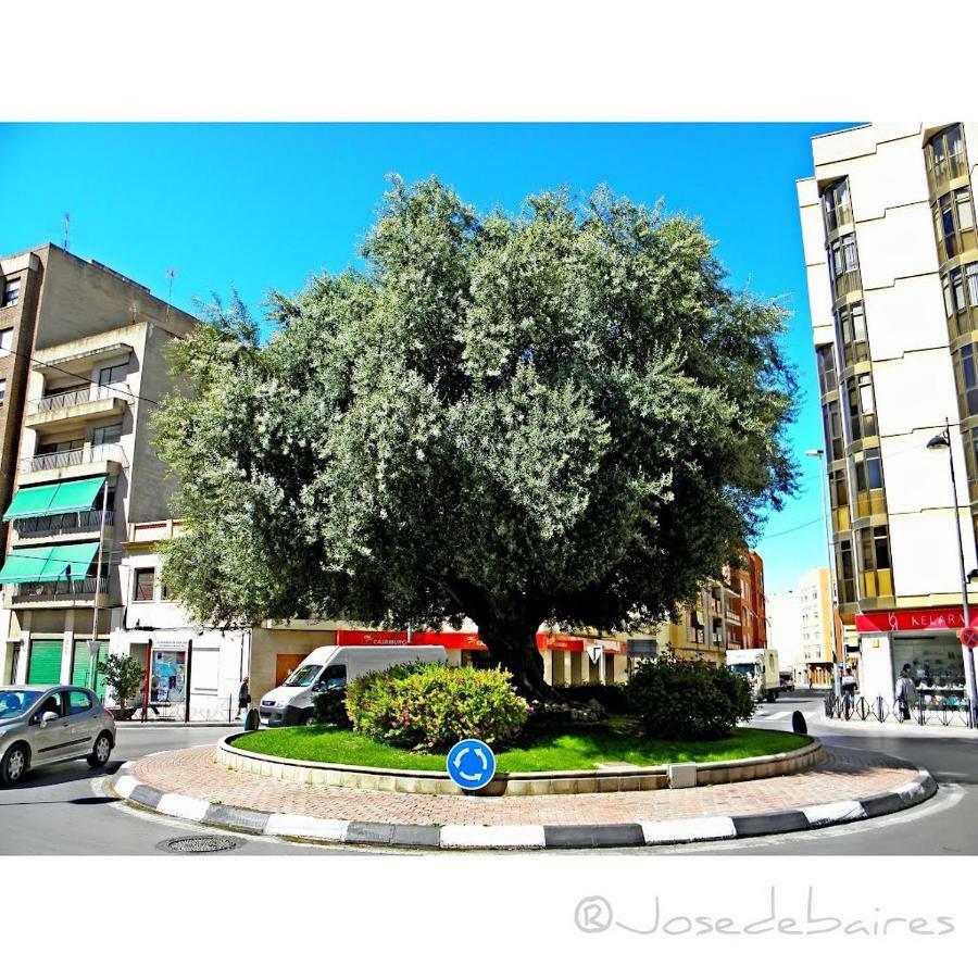 Apartamento Piso Vacacional