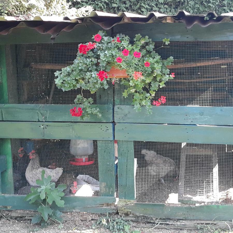 Apartamento El Atico De Villalmar Tui