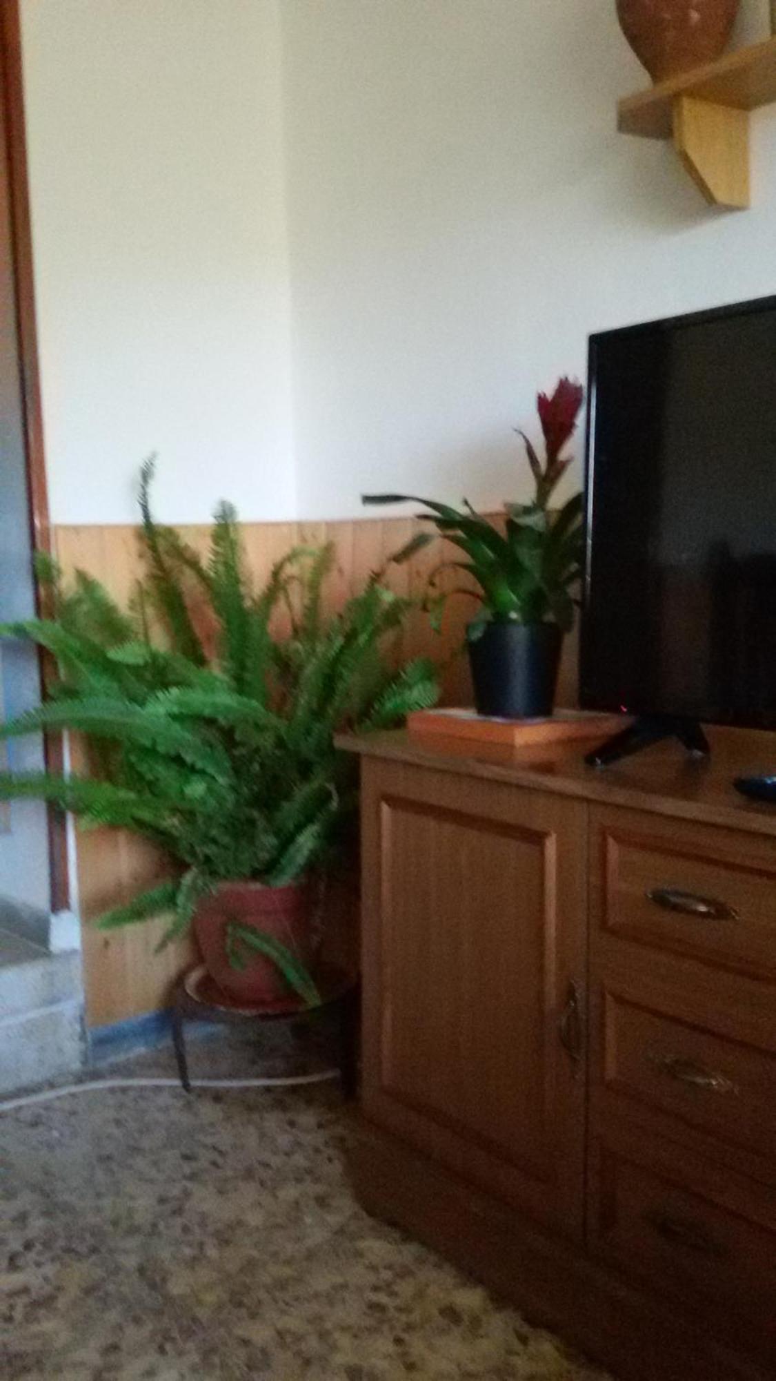 La Casa De La Acequia Casa rural *