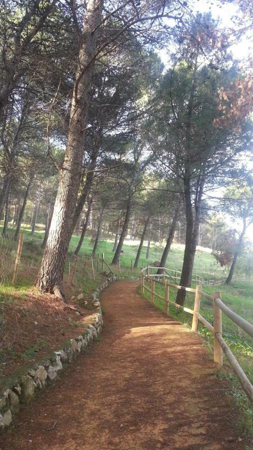 El Duende Del Tejar El Gastor