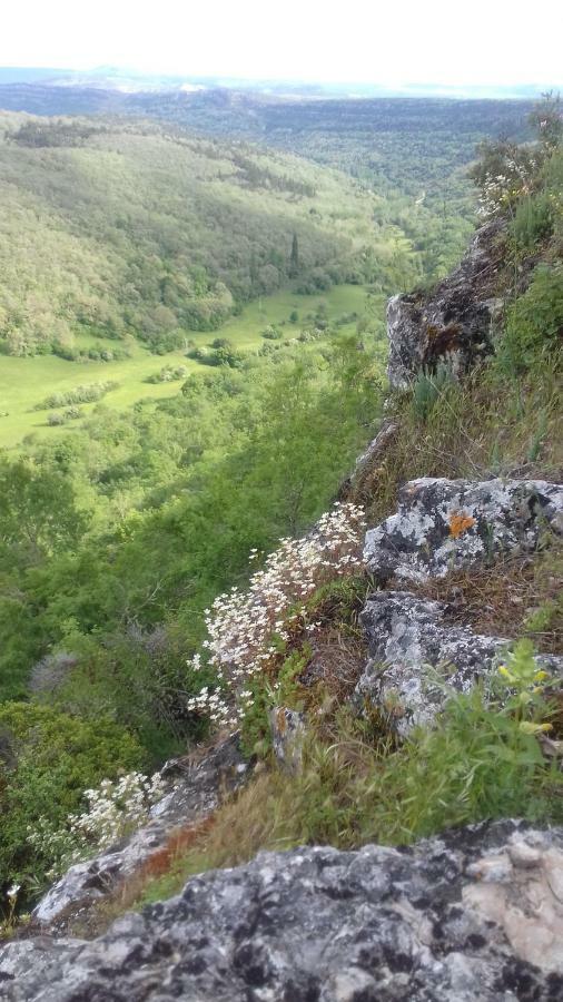 Casaturzo