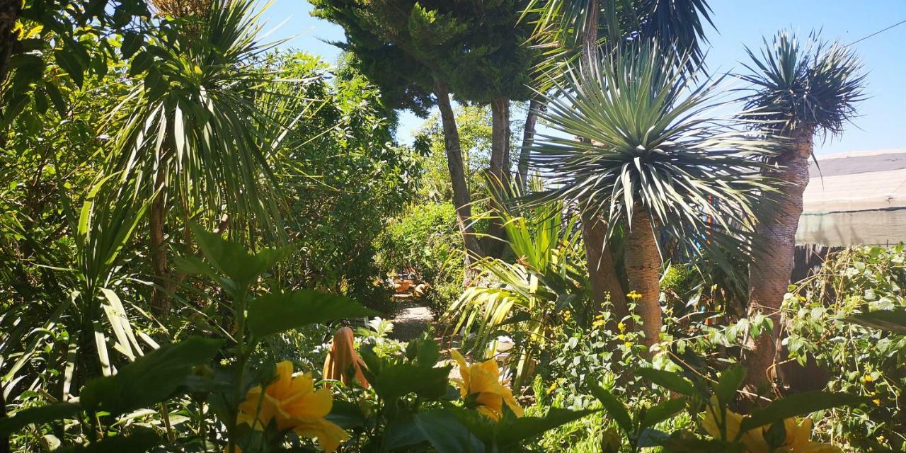 Costa Tropical Oasis * Motril