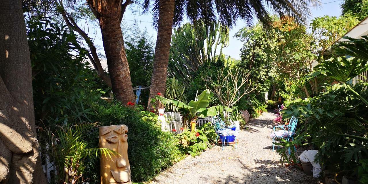 Costa Tropical Oasis *