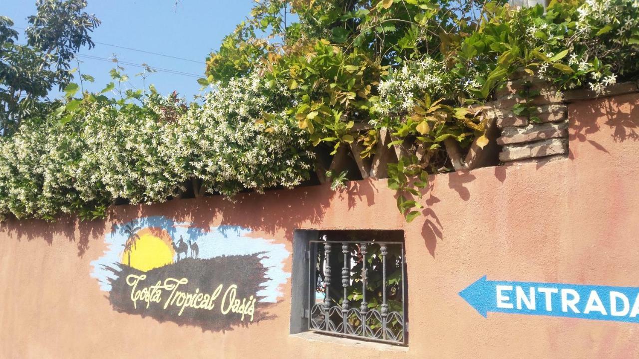 Costa Tropical Oasis * Motril