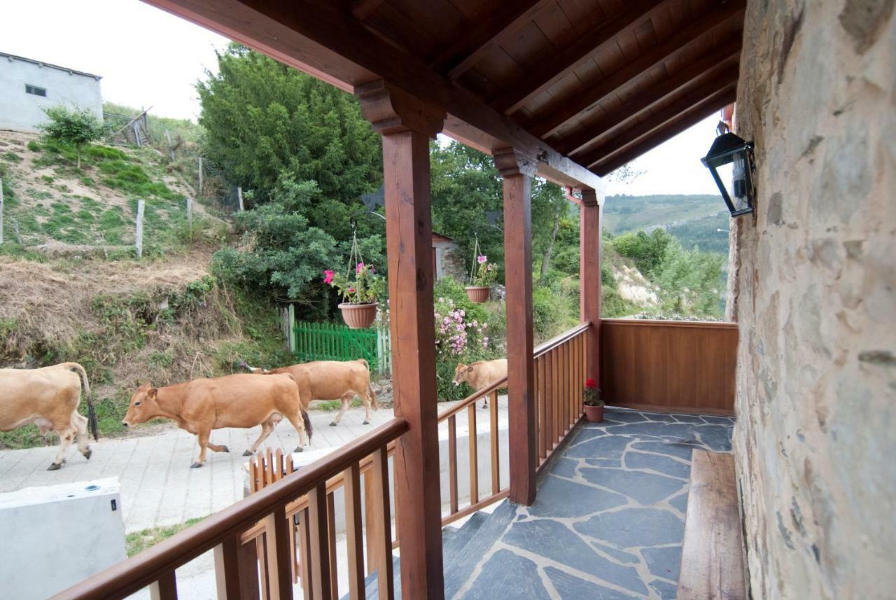 Rurales Tia Vicenta Santa Eulalia de Oscos