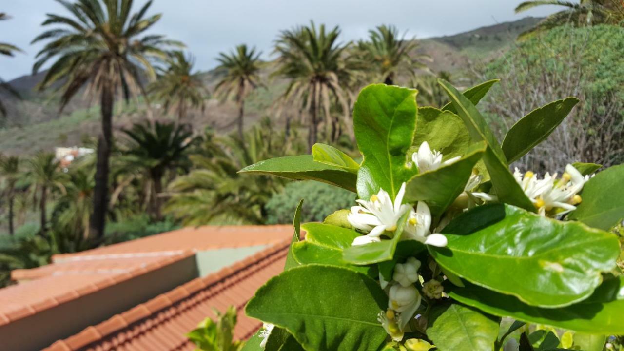 El Pirguan House, Your Oasis In La Gomera Сasa de vacaciones *