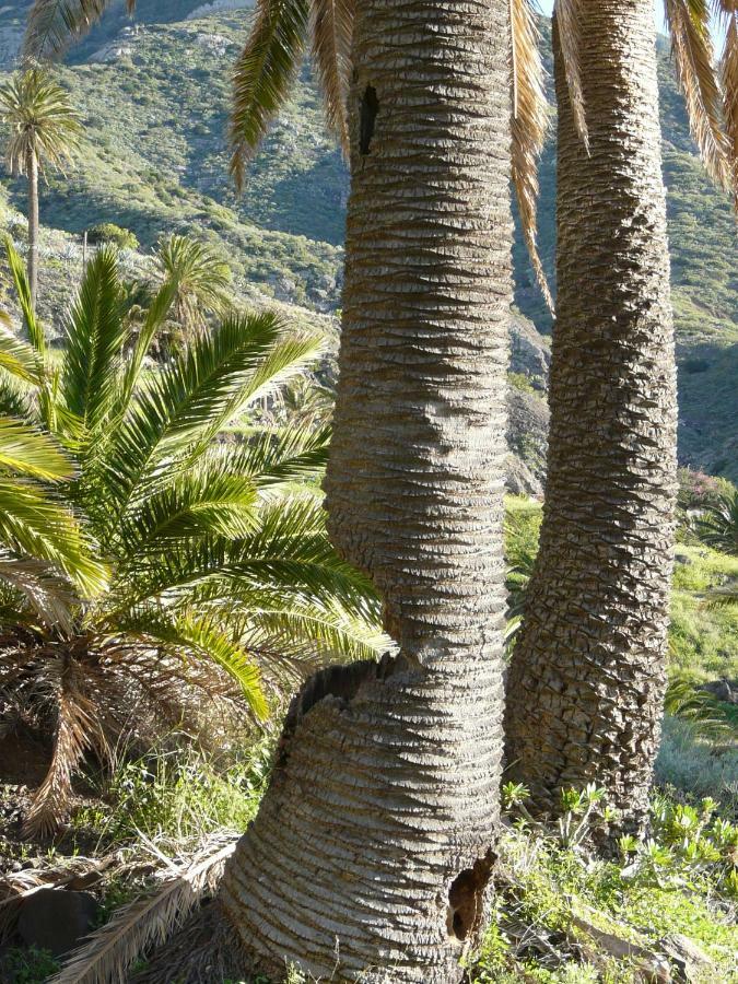 El Pirguan House, Your Oasis In La Gomera Сasa de vacaciones *