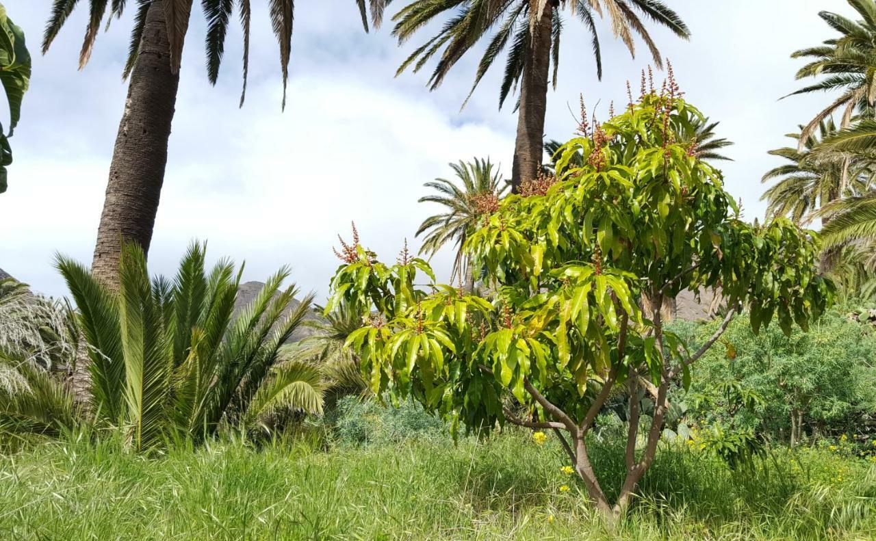 Сasa de vacaciones El Pirguan House, Your Oasis In La Gomera