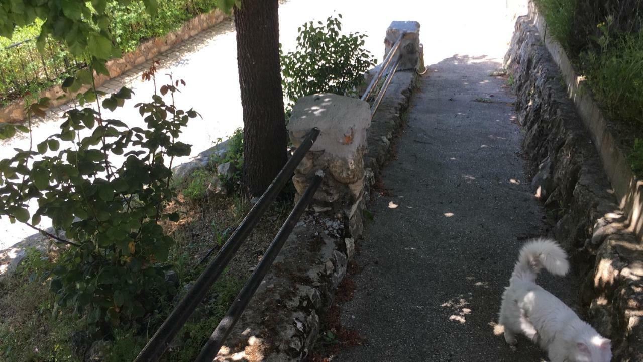 El Mirador Del Chorrillo * Olmeda de las Fuentes