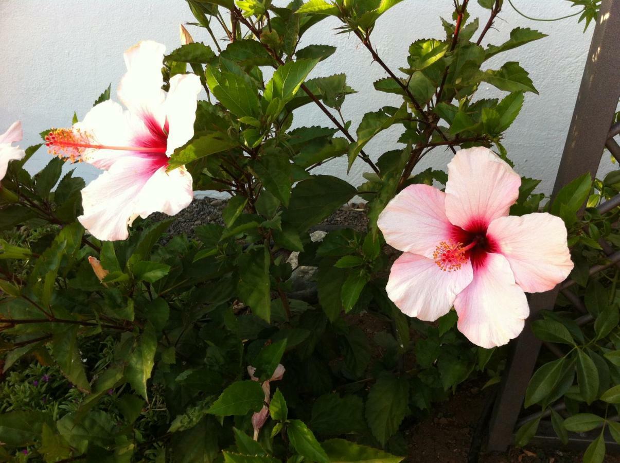 Holiday home La Datura El Paso