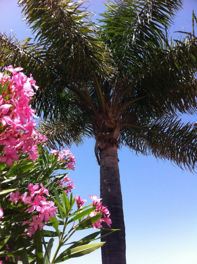 La Datura Holiday home