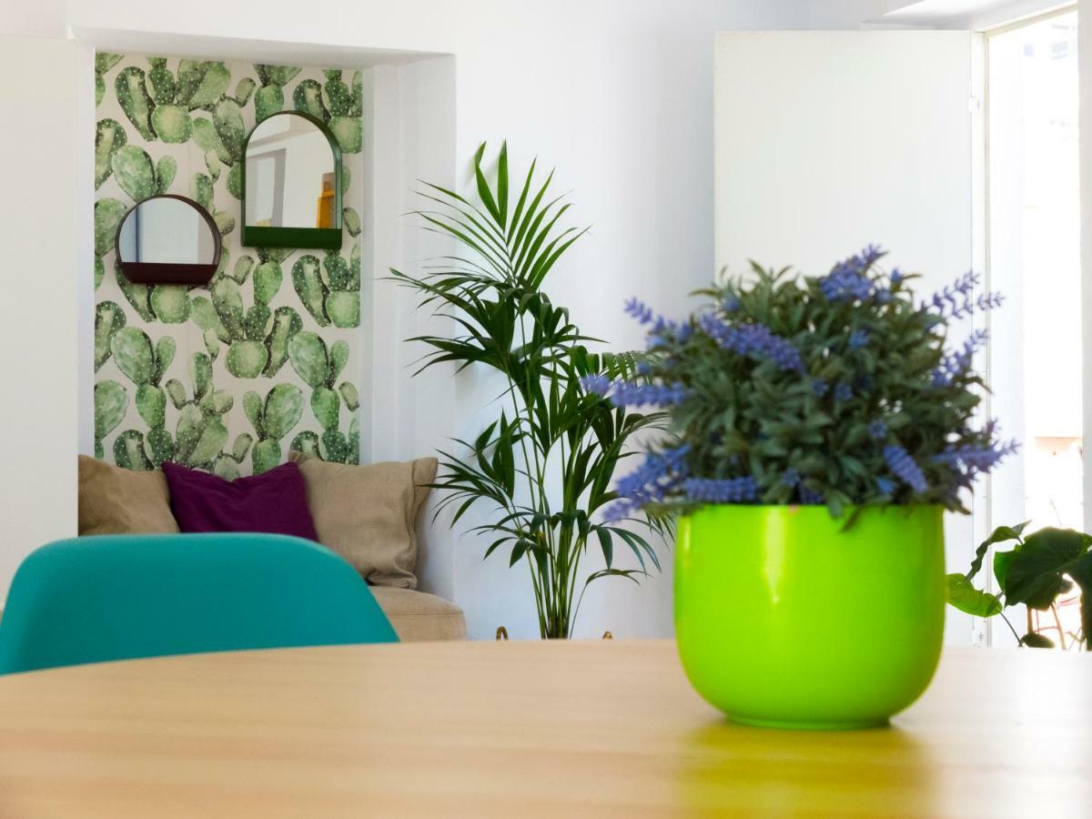Apartment Veedor *