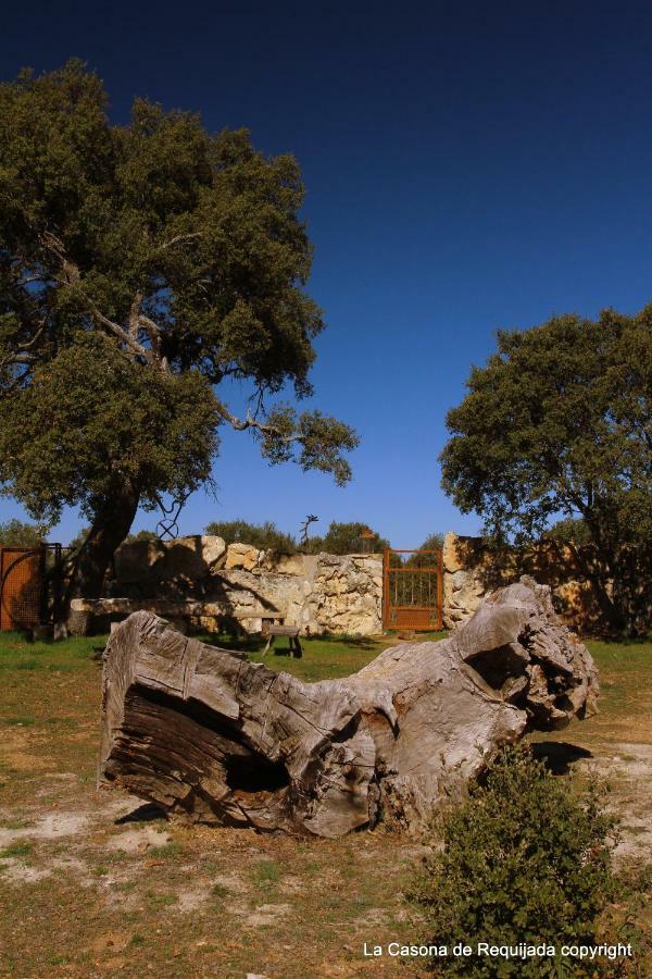 La Casona De Requijada