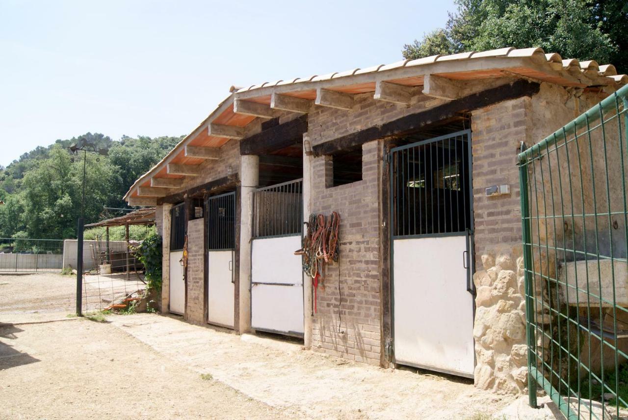 Serrallonga * Camós