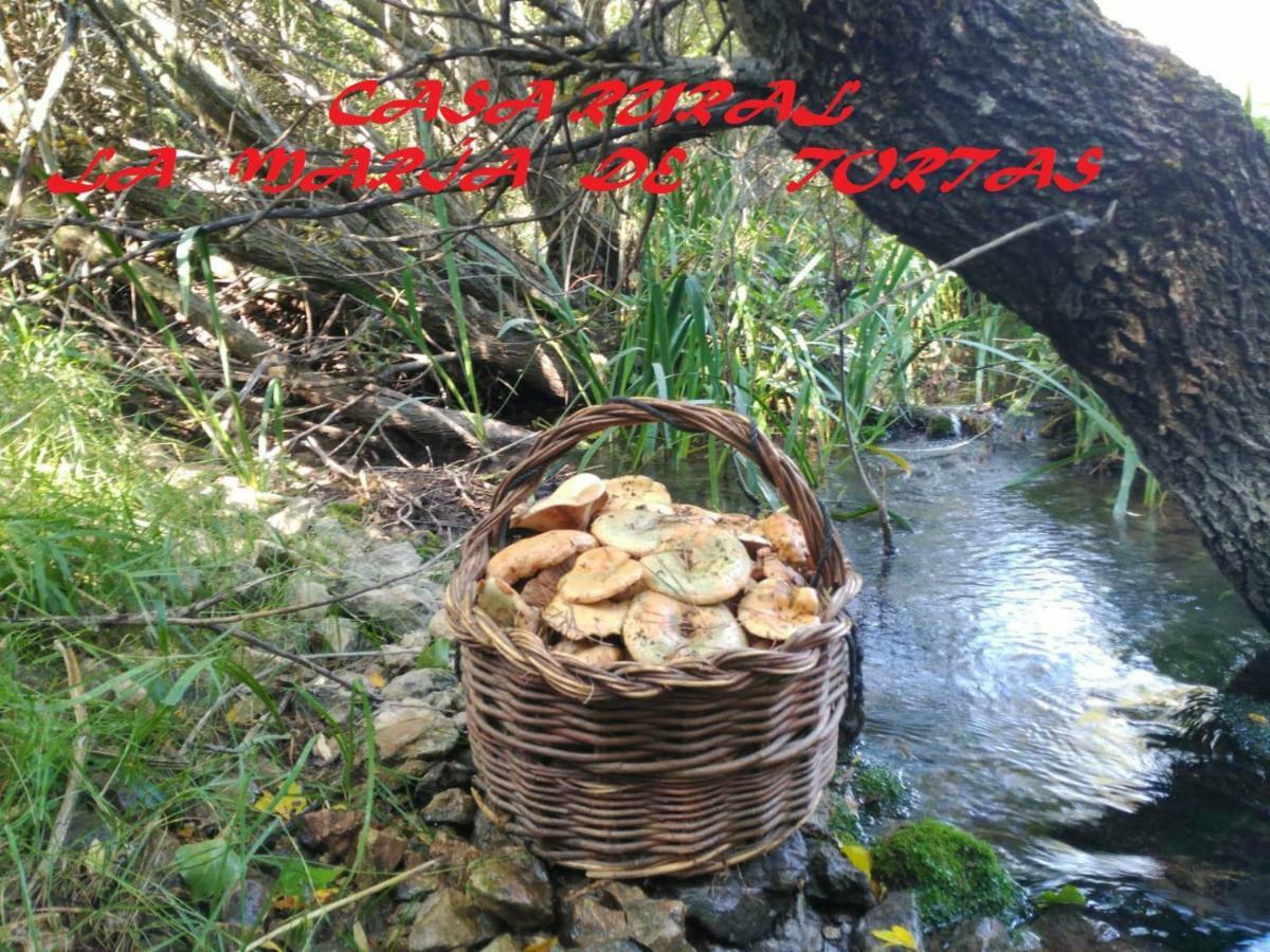 La María De Tortas * Paterna del Madera