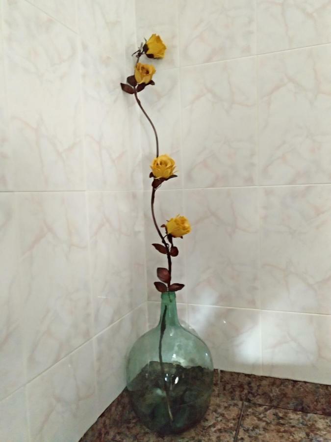Casa Elina I I Holiday home *