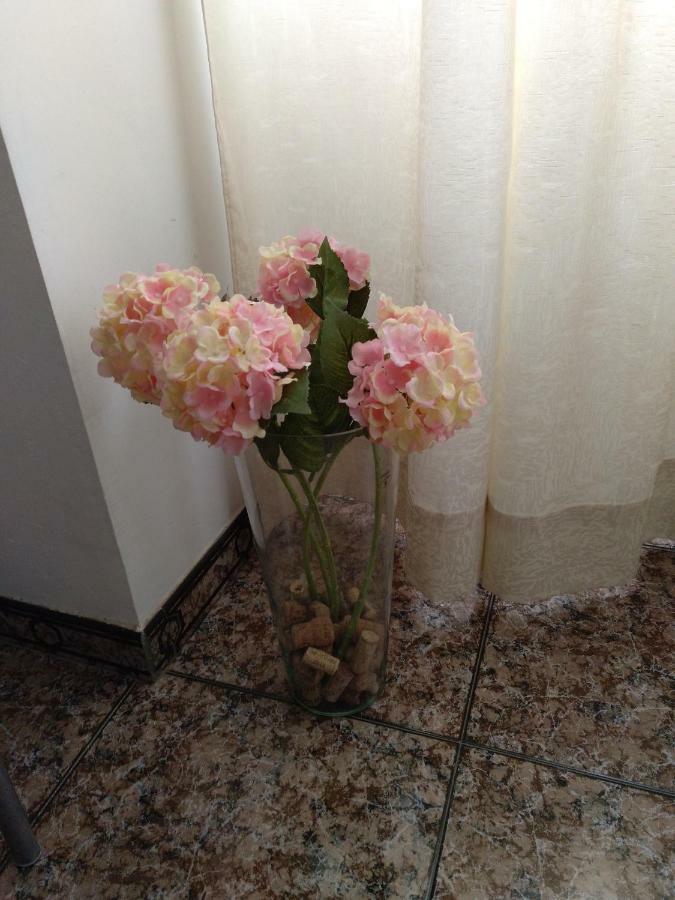Holiday home Casa Elina I I *