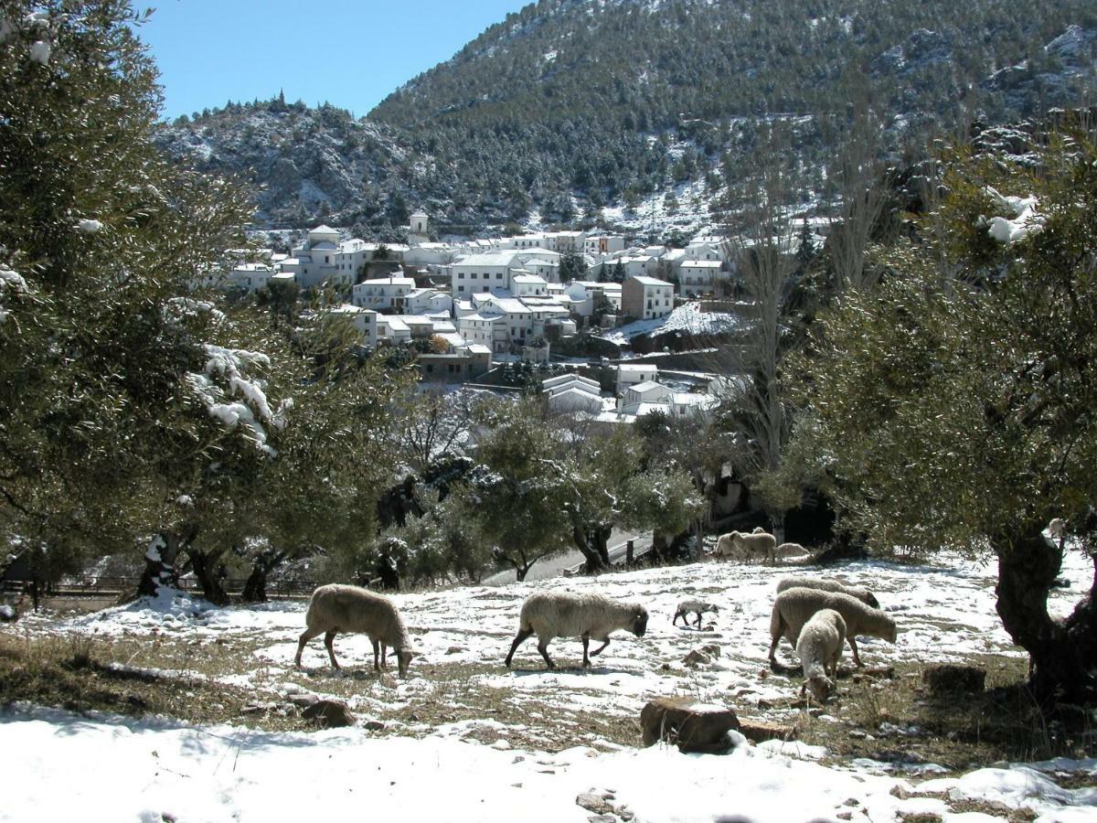 Casas Corrales Grazalema