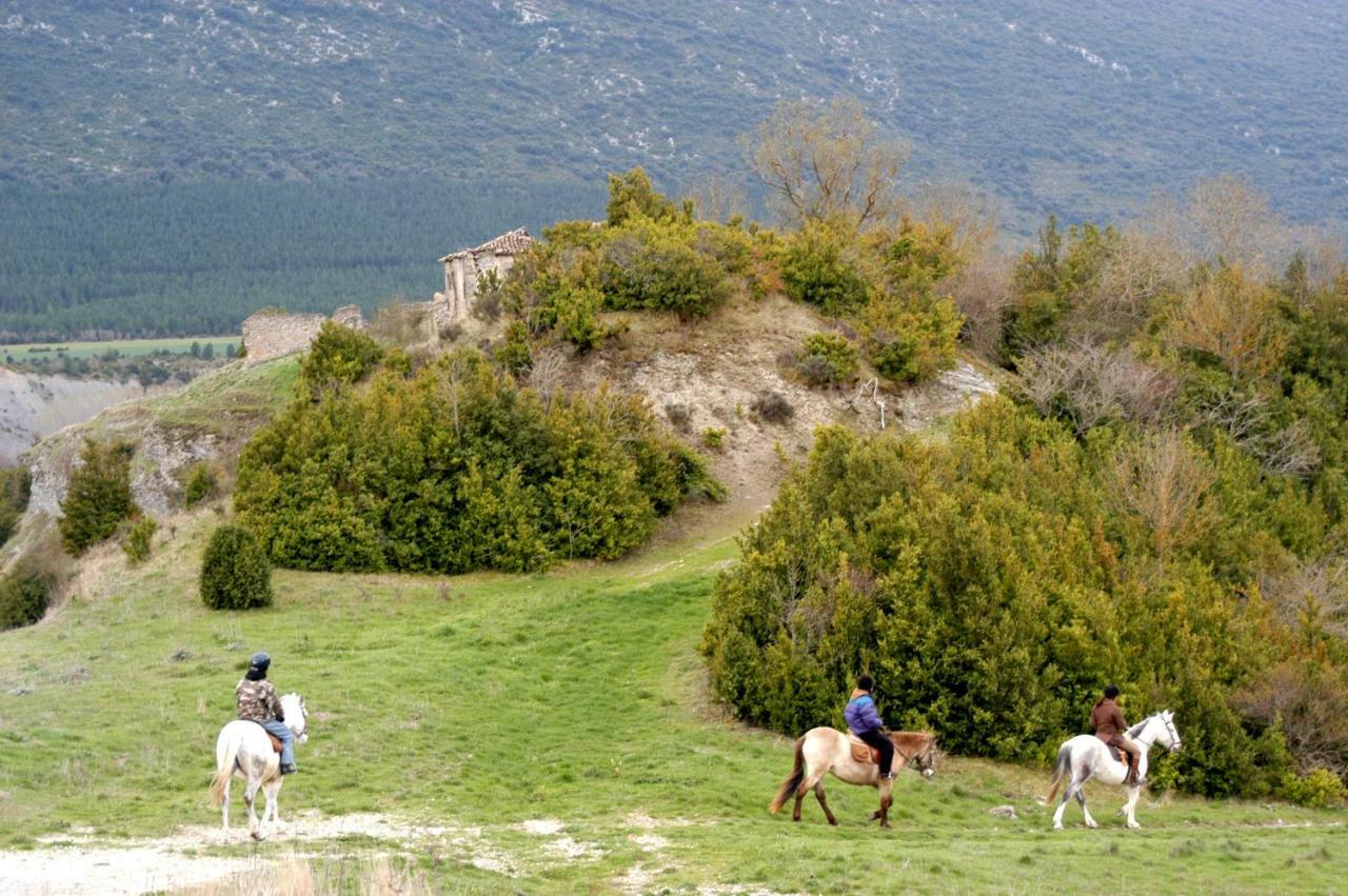 Pilare, A Puertas Del Pirineo Navarro Apartamento