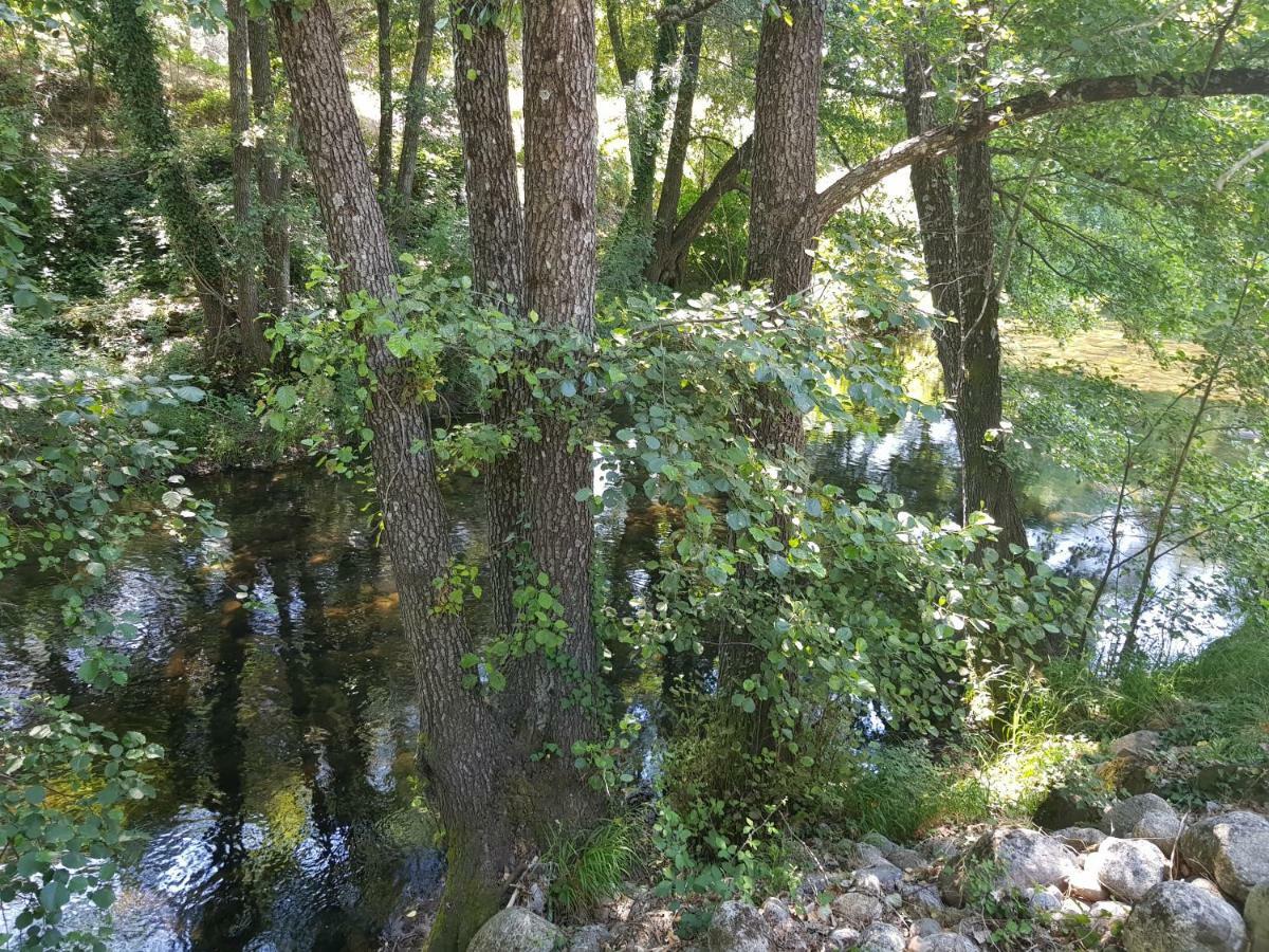 Esencia De Gredos * Ramacastanas