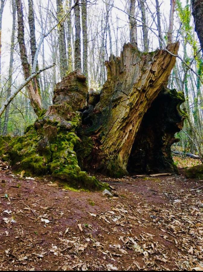 El Comercio Sierra De Francia * San Miguel de Valero