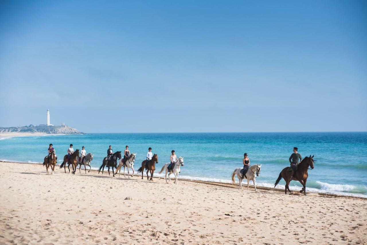 Casara Seis O Casara Siete - Tu Casa A 100m De La Playa De Zahora
