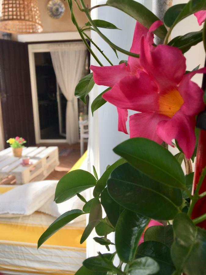 Miranda Сasa de vacaciones El Rompido