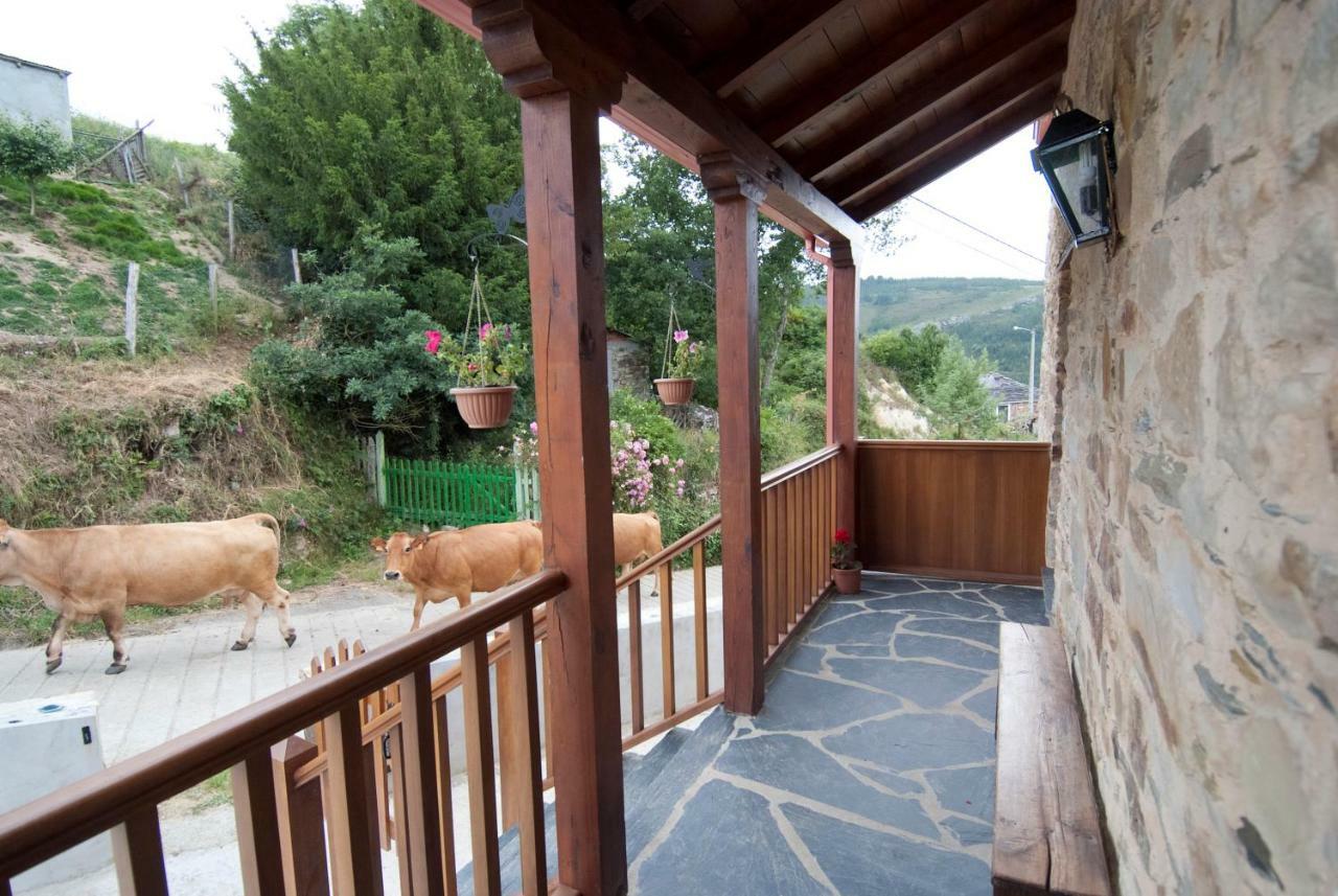 Apartment Rurales Tia Vicenta *