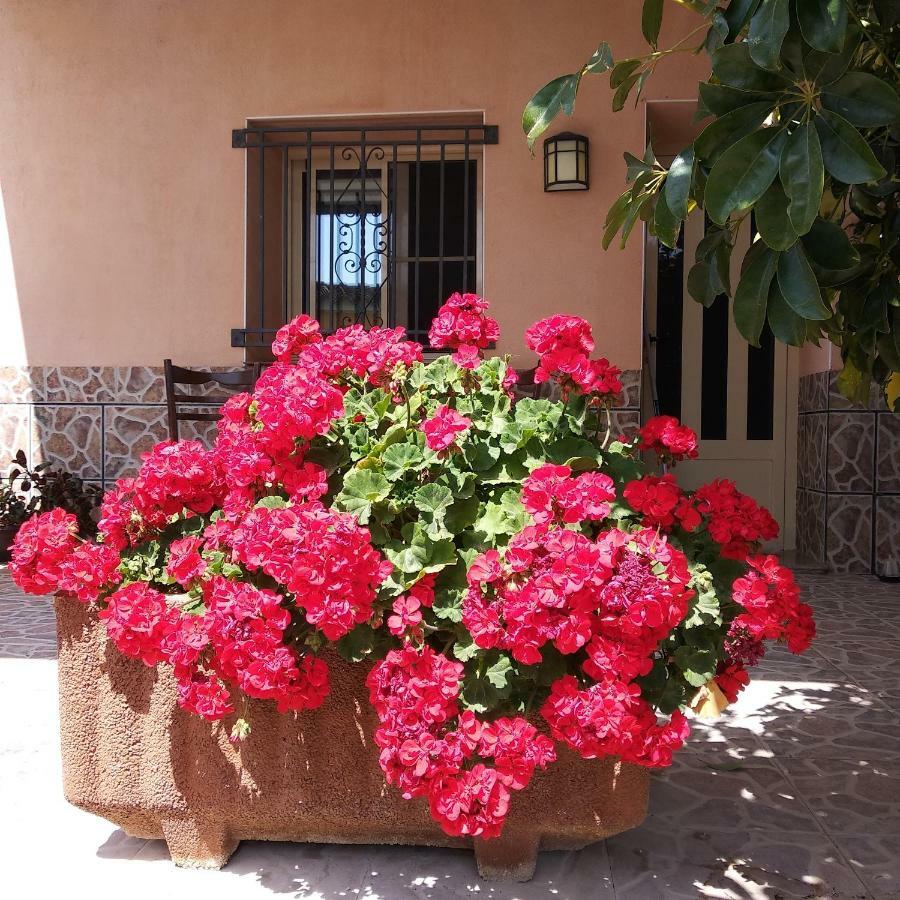 Casa Enric Сasa de vacaciones Deltebre