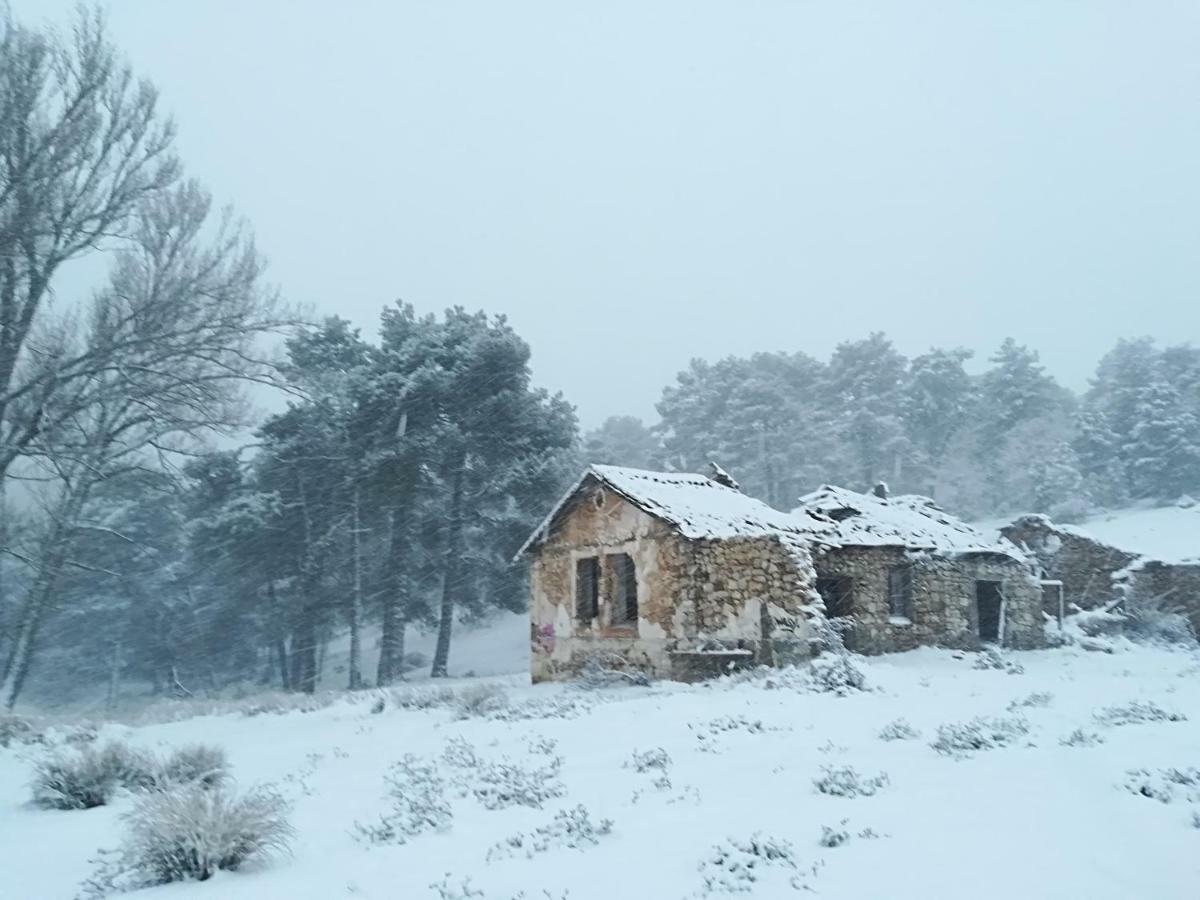 Vivienda Pineros Arroyo Frío
