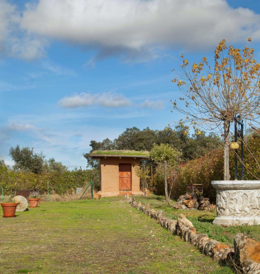 Casa rural Pajaros