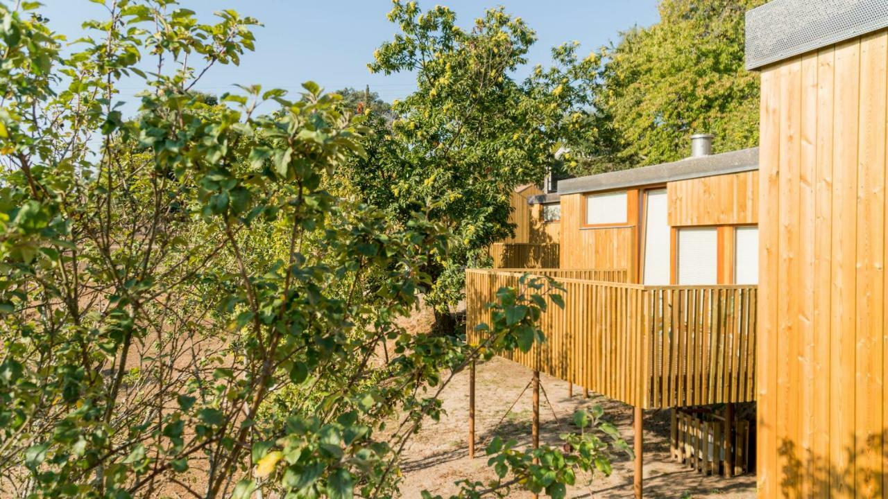 Apartamento Aloia Nature, Forestal *