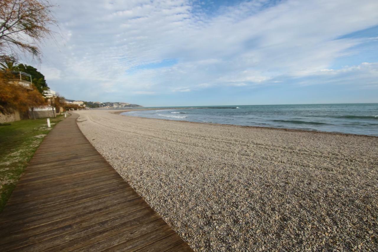 Pepita * Benicassim
